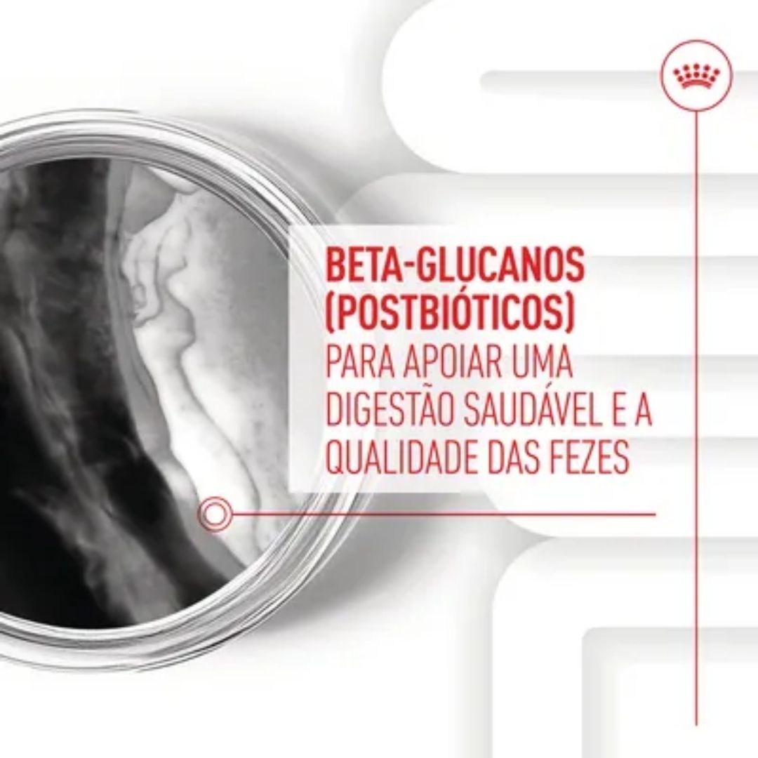 R471804