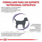 RCASDV02