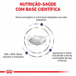RCASDV02