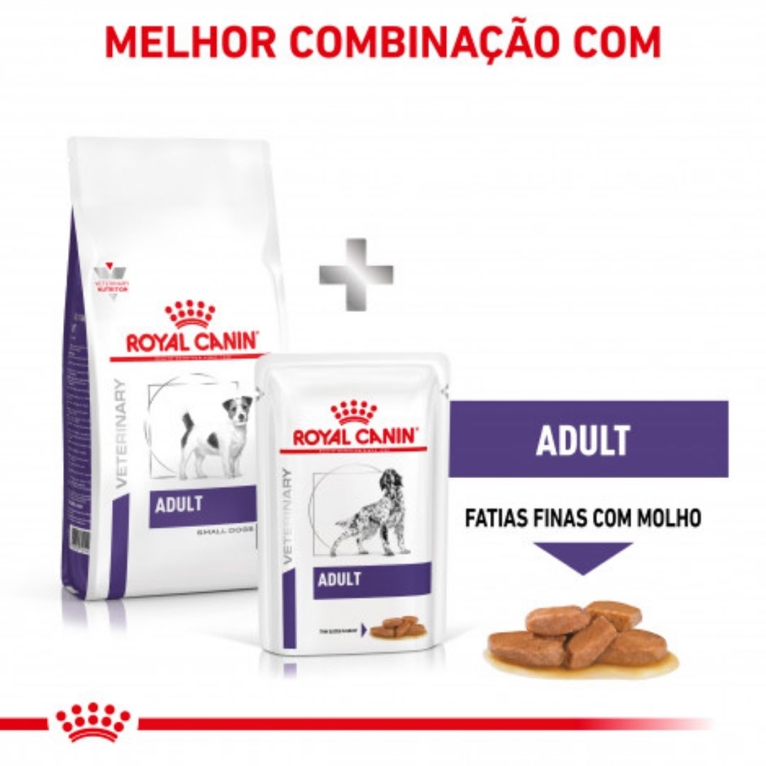 RCASDV02