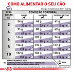 RCASDV02