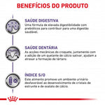RCASDV08
