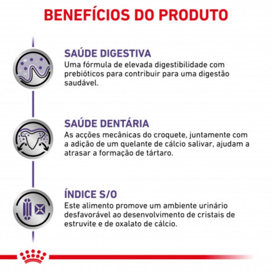 RCASDV08