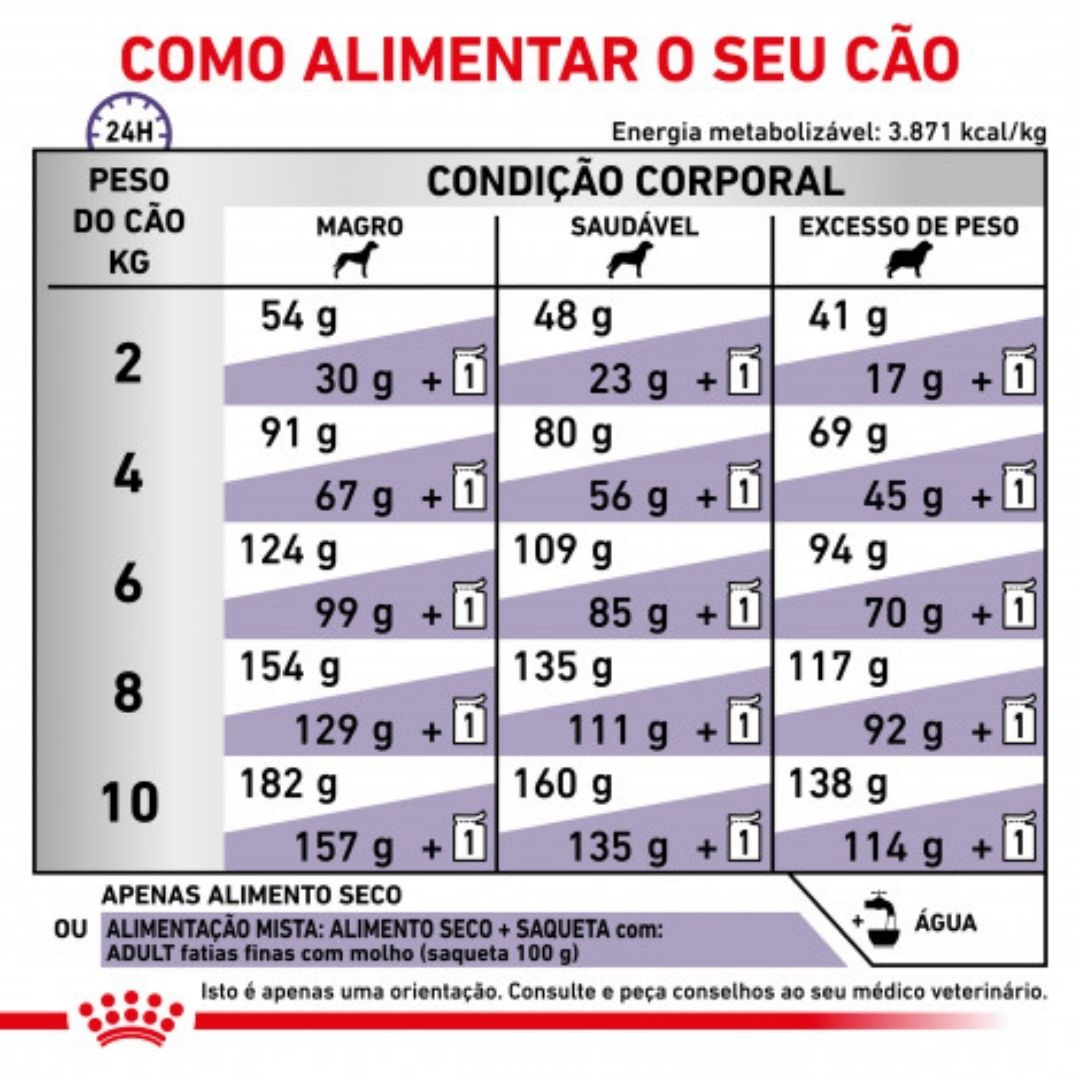 RCASDV08