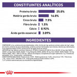 RCASDV08