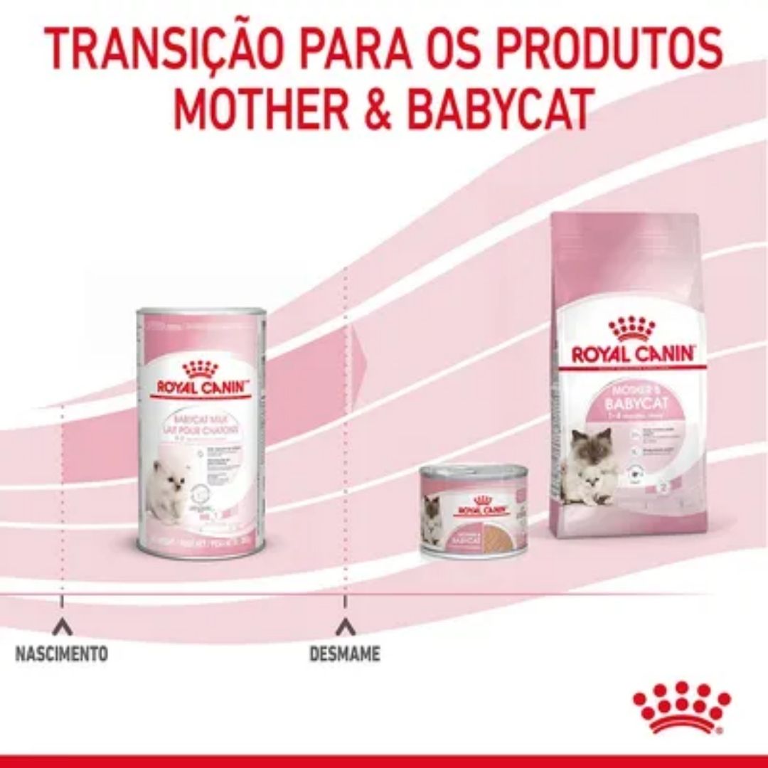 RCBABYCAT300