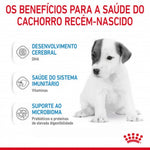 RCBDM2