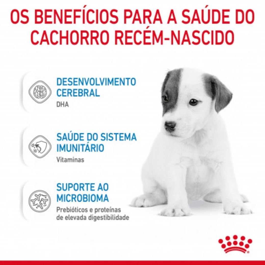 RCBDM2