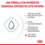 RCBDM2