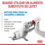 RCBDM2