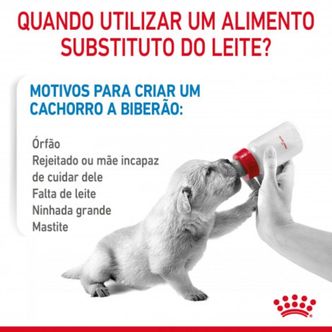 RCBDM2
