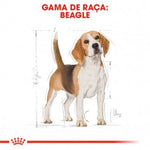 RCBEAAD3