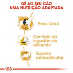 RCBEAAD3