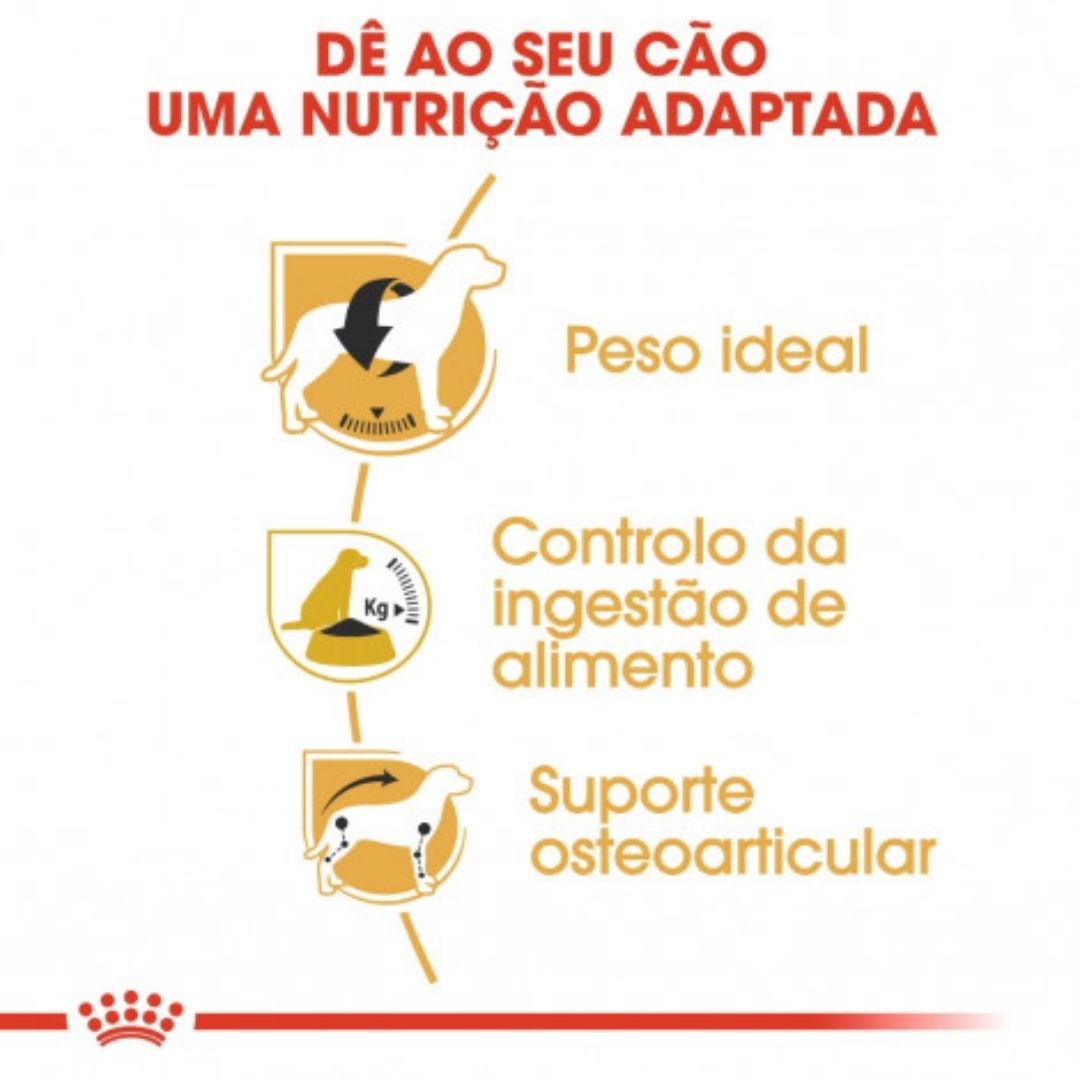 RCBEAAD3