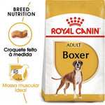 RCBOXER26012