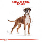 RCBOXER26012