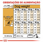 RCBOXER26012