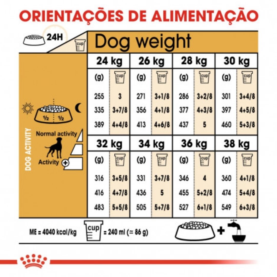 RCBOXER26012