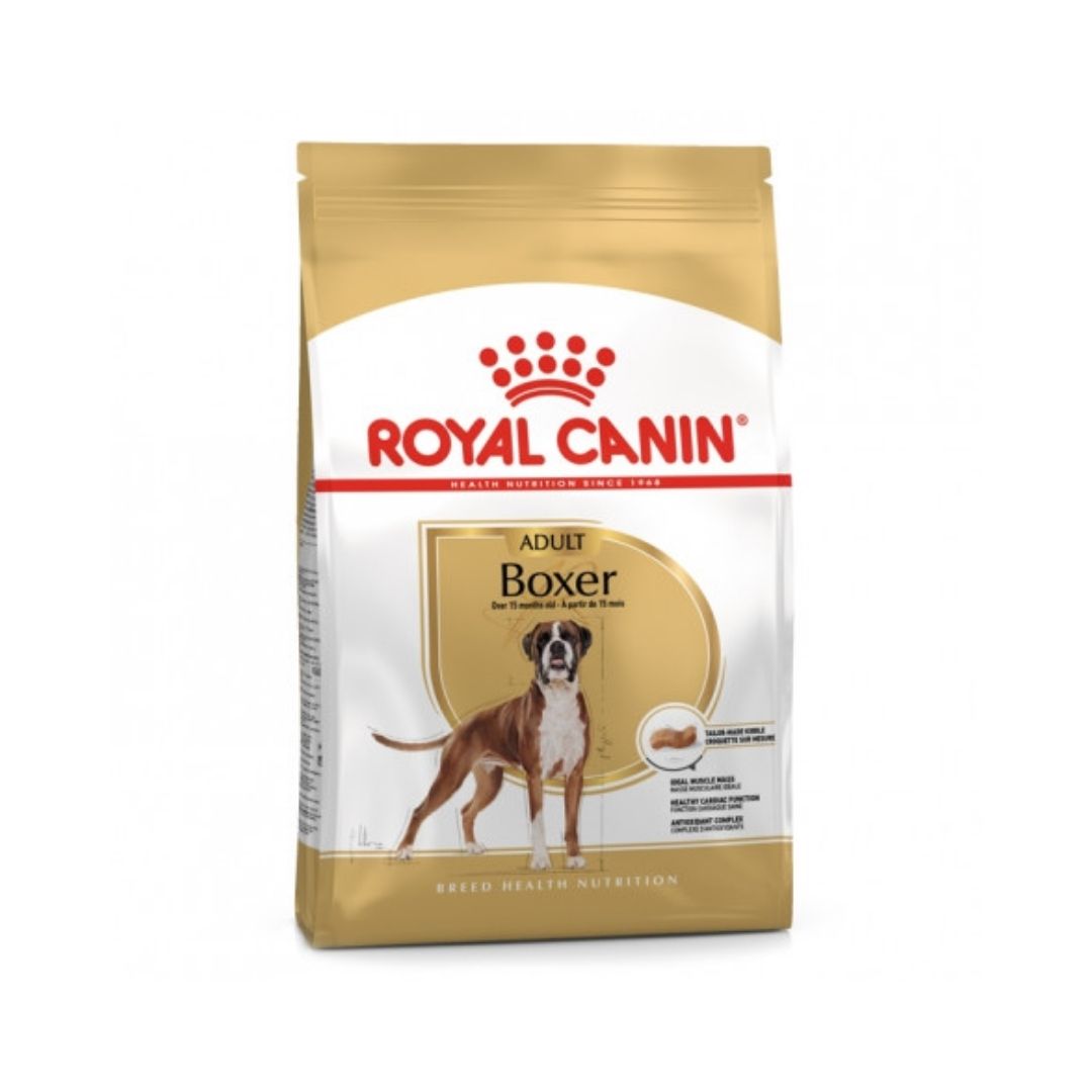 RCBOXER26012