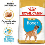 RCBOXJU12