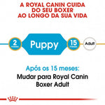 RCBOXJU12