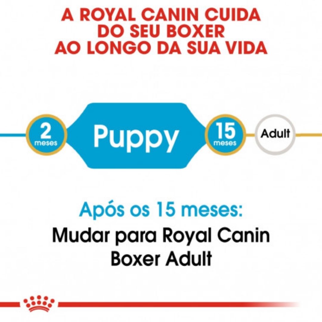 RCBOXJU12