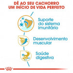 RCBOXJU12