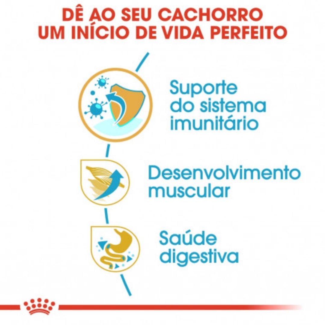 RCBOXJU12