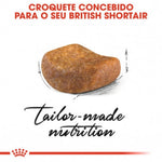 RCBRISHO2