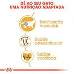 RCBRISHO2