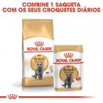 RCBRISHO2