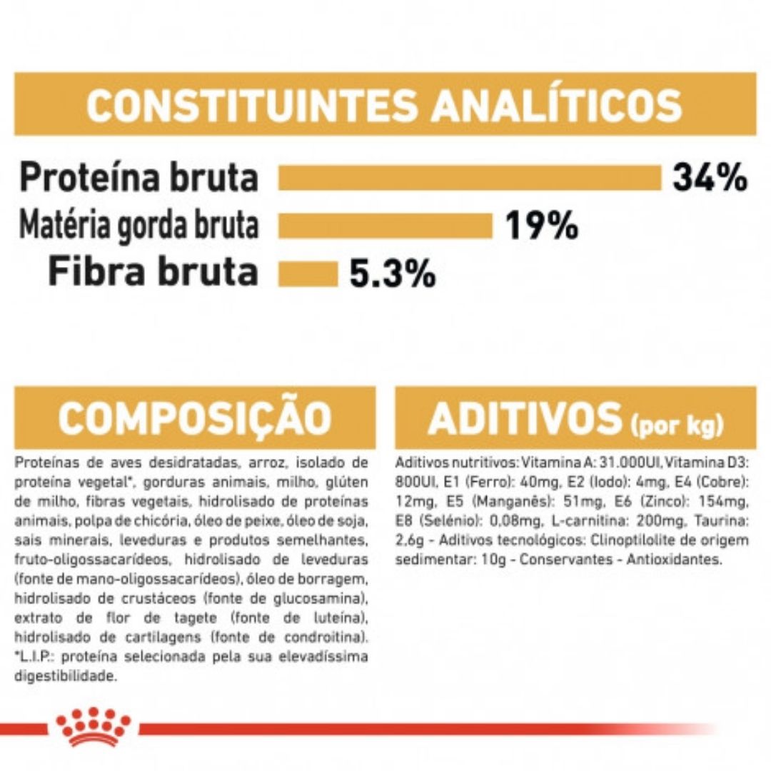 RCBRISHO2