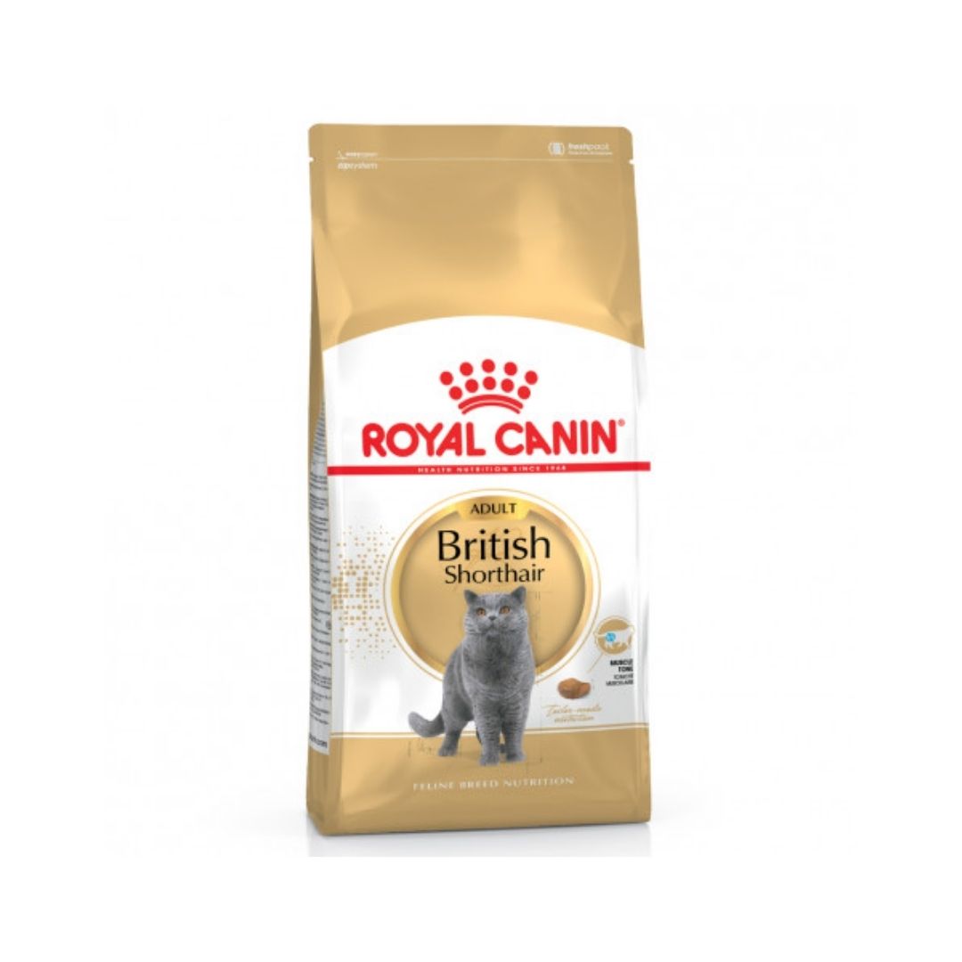 RCBRISHO2