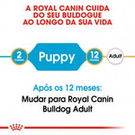 RCBULDJ12