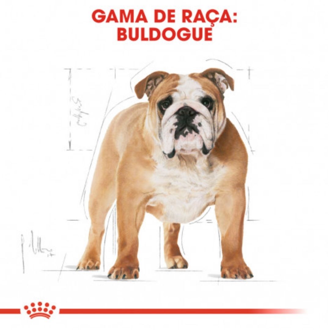 RCBULLDOG012