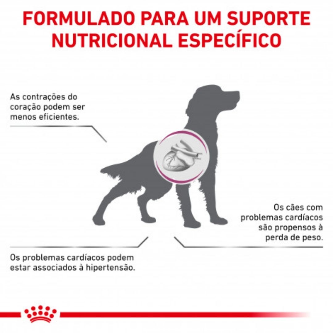 RCCARD2