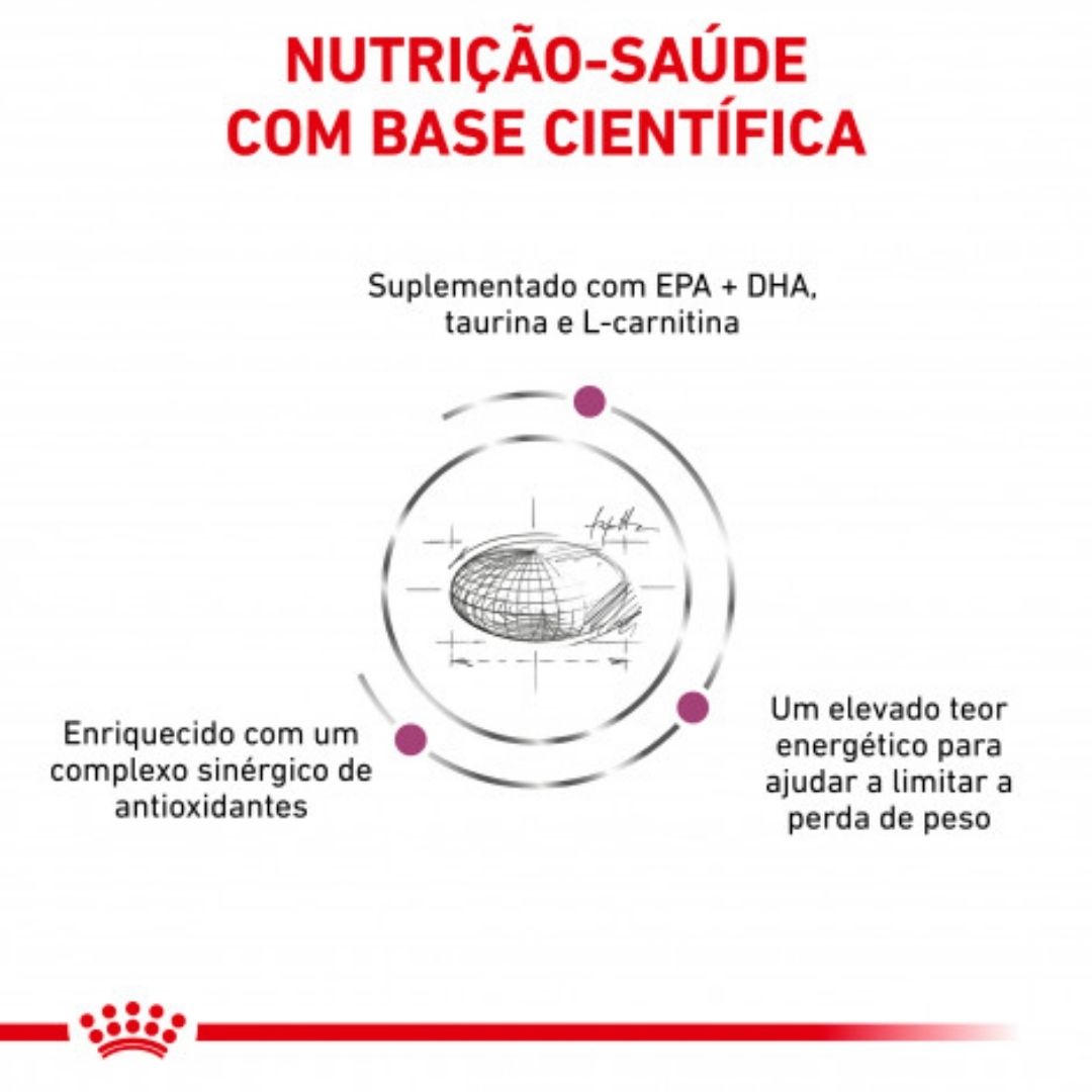 RCCARD2