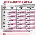 RCCARD2