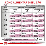 RCCARDW410