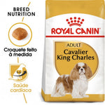 RCCAVKC3
