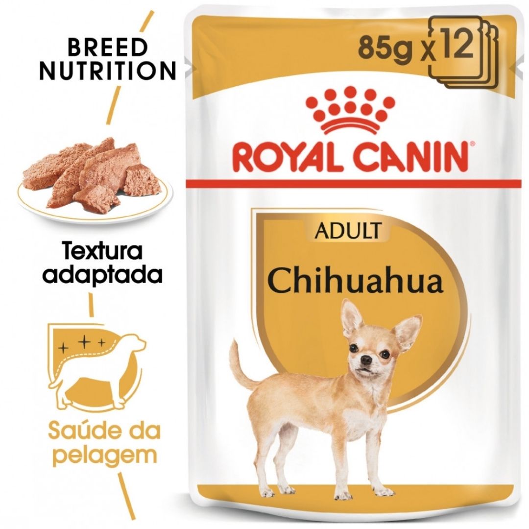 RCCHI85