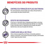 RCDENTF1.5