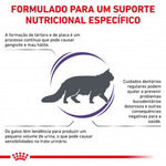 RCDENTF1.5