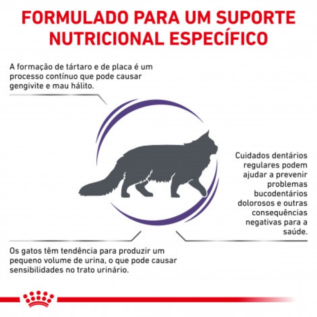RCDENTF1.5