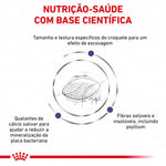 RCDENTF1.5