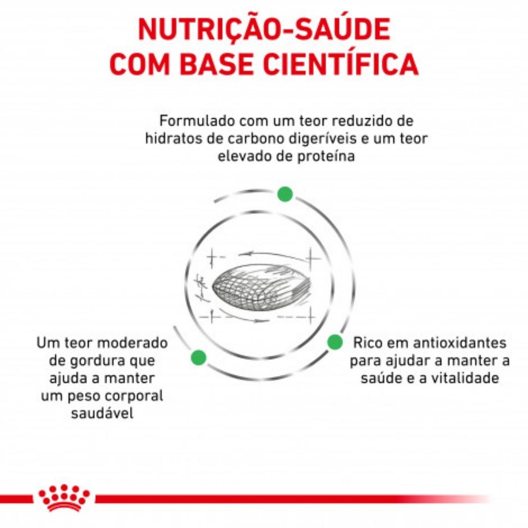 RCDIAB15