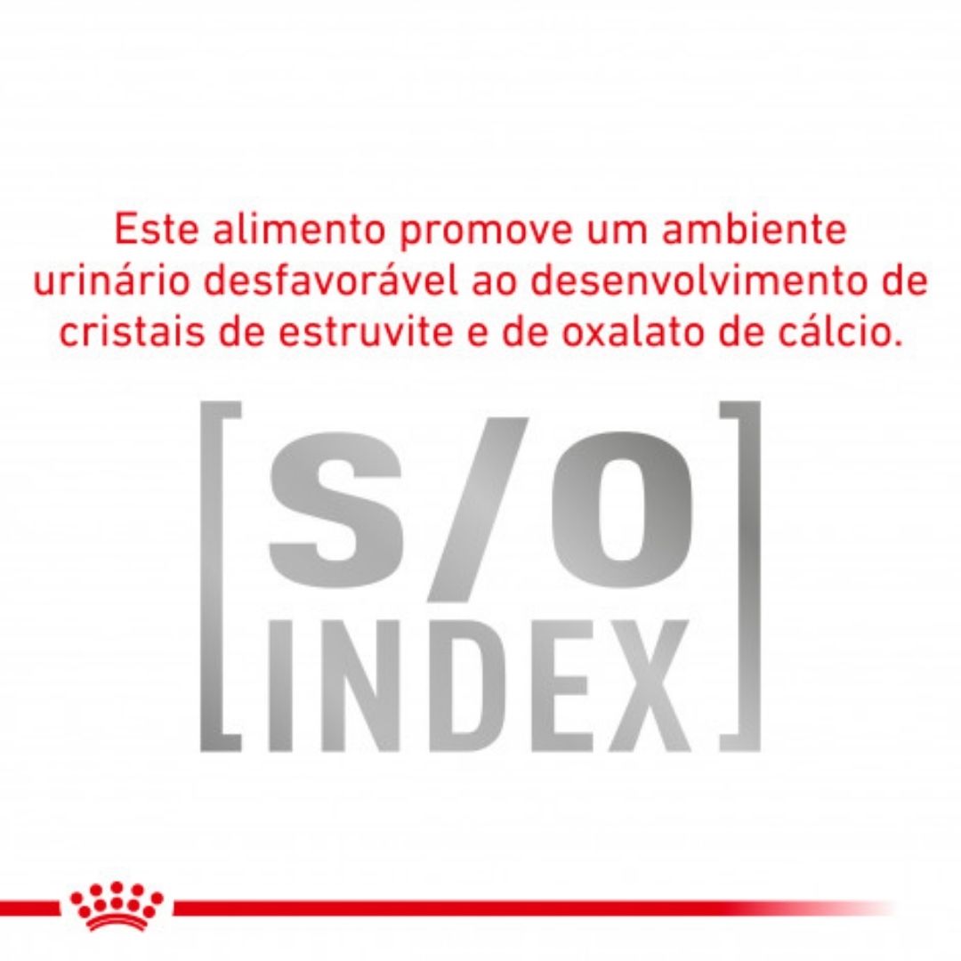 RCDIAB15
