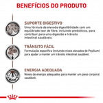RCFIREC2K