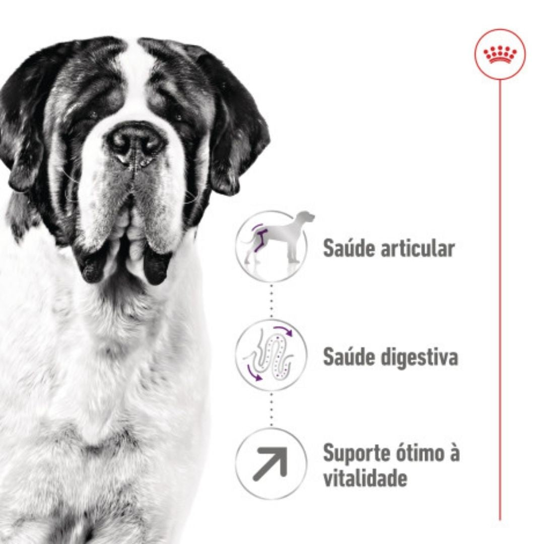 RCGADL15