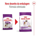 RCGADL15